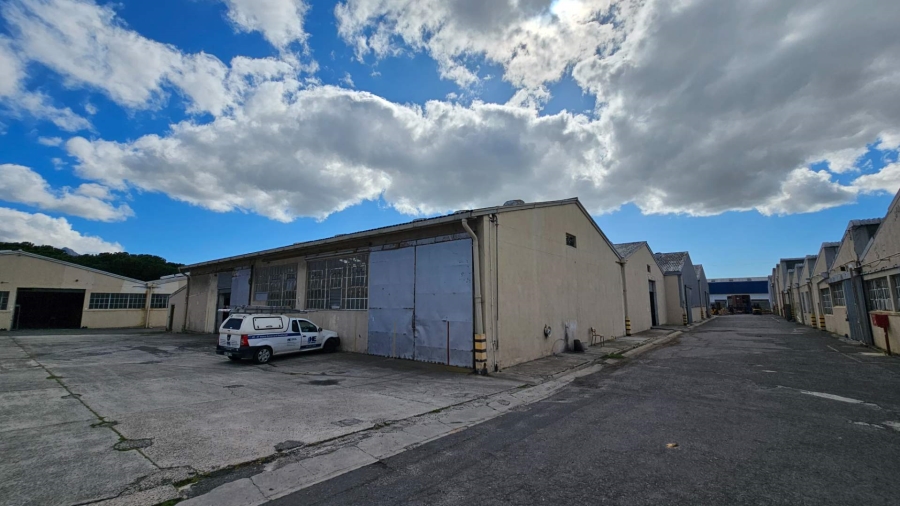 To Let commercial Property for Rent in Epping Industrial Western Cape